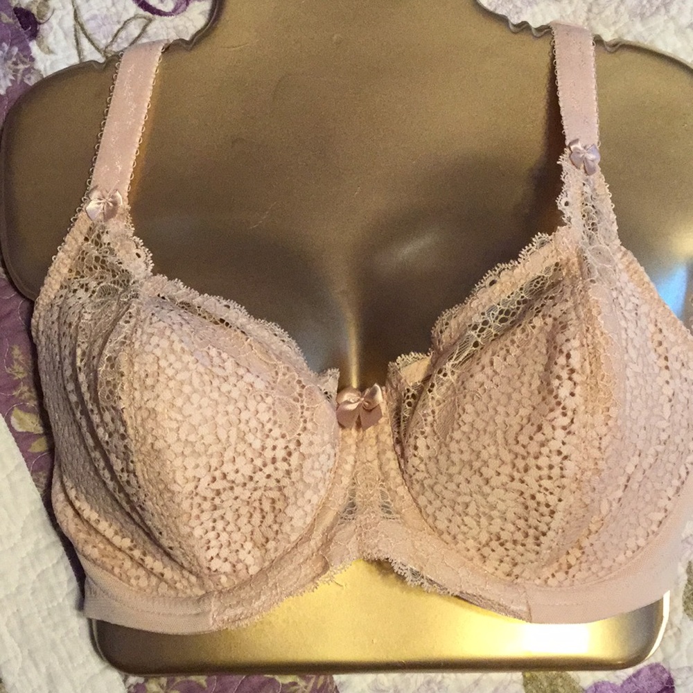 5000 Goddess Michelle  Bra